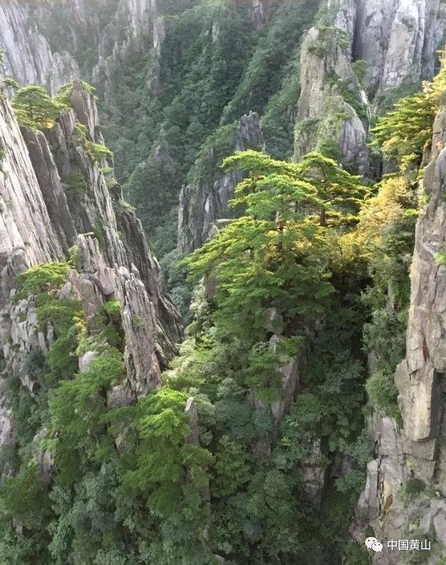 矮人国之战3